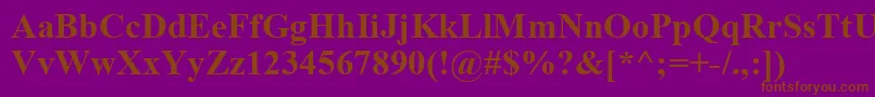 TimesNewRomanKoi8Bold-fontti – ruskeat fontit violetilla taustalla