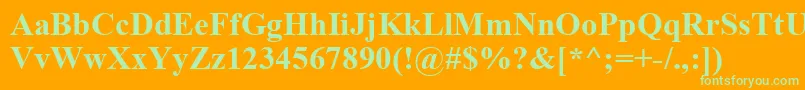 TimesNewRomanKoi8Bold Font – Green Fonts on Orange Background