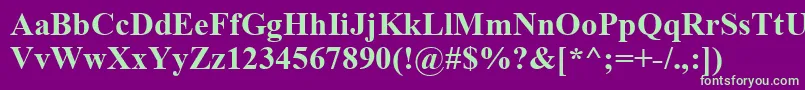 TimesNewRomanKoi8Bold Font – Green Fonts on Purple Background