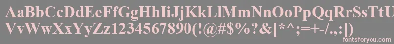 フォントTimesNewRomanKoi8Bold – 灰色の背景にピンクのフォント