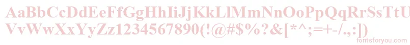 TimesNewRomanKoi8Bold Font – Pink Fonts