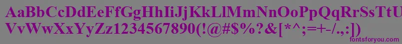 TimesNewRomanKoi8Bold Font – Purple Fonts on Gray Background