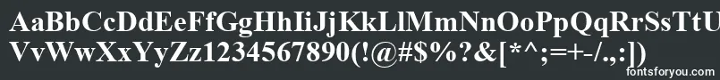 TimesNewRomanKoi8Bold Font – White Fonts on Black Background