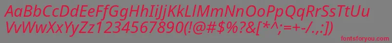フォントNotosans Italic – 赤い文字の灰色の背景