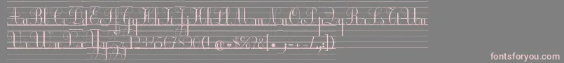 EclCour Font – Pink Fonts on Gray Background