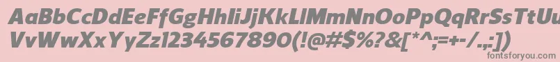 ReganBlackitalic Font – Gray Fonts on Pink Background