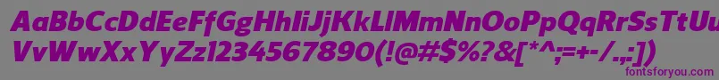 Шрифт ReganBlackitalic – фиолетовые шрифты на сером фоне