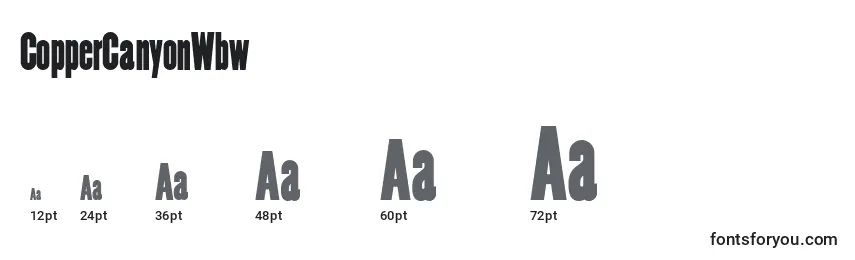 CopperCanyonWbw Font Sizes