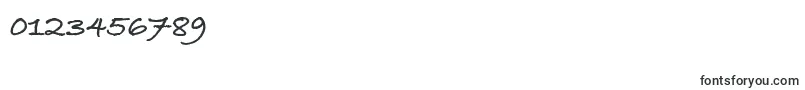BradleyHandItcTtBold Font – Fonts for Numbers and Digits