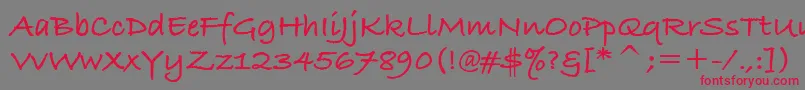 BradleyHandItcTtBold Font – Red Fonts on Gray Background