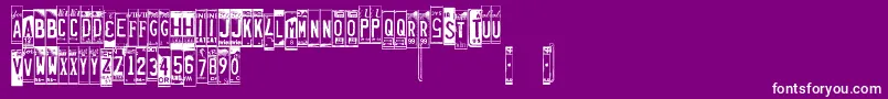 Licenseplates Font – White Fonts on Purple Background