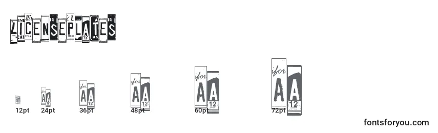 Licenseplates Font Sizes