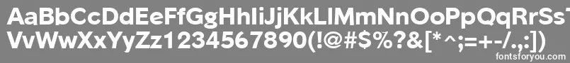 フォントPhinsterExtraboldRegular – 灰色の背景に白い文字