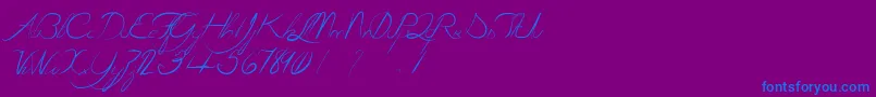 LaGrenouilleVerteQuiDevientTouteRouge Font – Blue Fonts on Purple Background