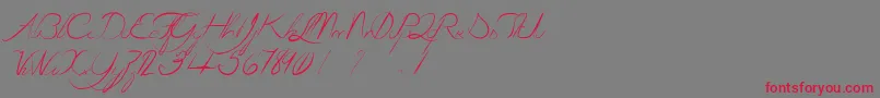 LaGrenouilleVerteQuiDevientTouteRouge Font – Red Fonts on Gray Background