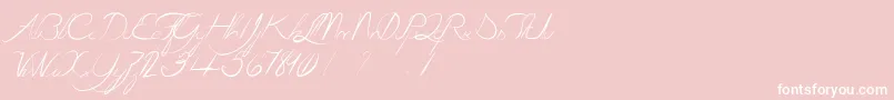 LaGrenouilleVerteQuiDevientTouteRouge Font – White Fonts on Pink Background