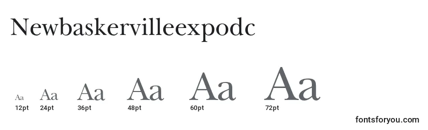Размеры шрифта Newbaskervilleexpodc