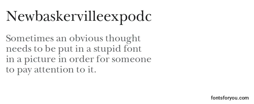 Review of the Newbaskervilleexpodc Font
