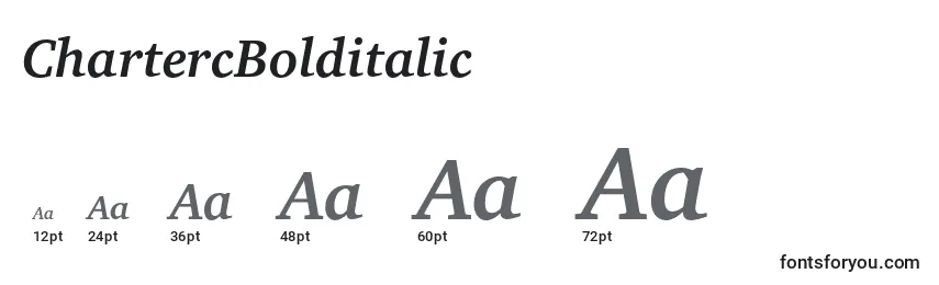 ChartercBolditalic Font Sizes