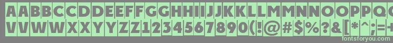 PlakattitulcmRegular Font – Green Fonts on Gray Background