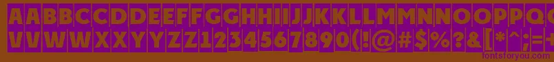 PlakattitulcmRegular Font – Purple Fonts on Brown Background