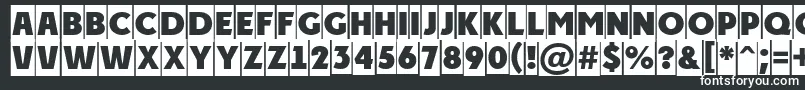 Шрифт PlakattitulcmRegular – белые шрифты