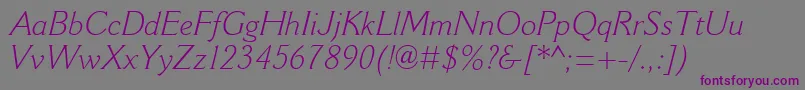 CantoriaMtLightItalic Font – Purple Fonts on Gray Background