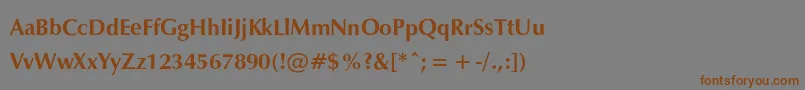 ExylecBold Font – Brown Fonts on Gray Background