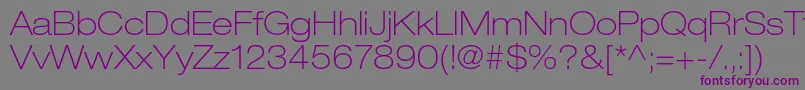 HelveticaneueltstdThex Font – Purple Fonts on Gray Background