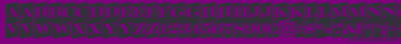 フォントSerifertitulcmupRegular – 紫の背景に黒い文字