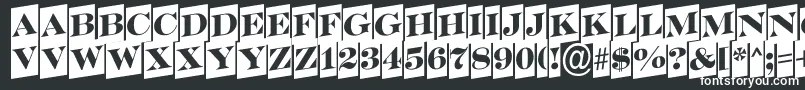 SerifertitulcmupRegular Font – White Fonts