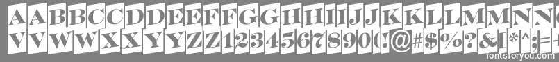SerifertitulcmupRegular Font – White Fonts on Gray Background