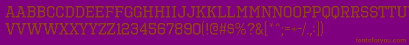 OctinSportsRg Font – Brown Fonts on Purple Background