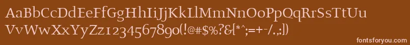 Шрифт OldstyleRegular – розовые шрифты на коричневом фоне