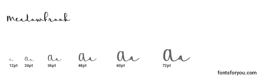 Meadowbrook Font Sizes