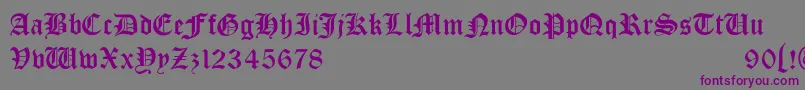 Bono Font – Purple Fonts on Gray Background
