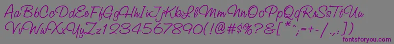 Studioscriptbtt Font – Purple Fonts on Gray Background