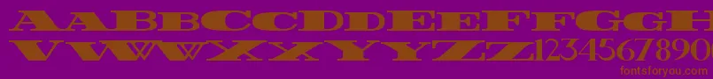 FatestWide-Schriftart – Braune Schriften auf violettem Hintergrund