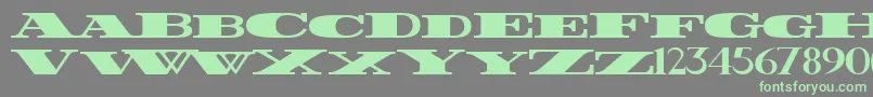 FatestWide Font – Green Fonts on Gray Background