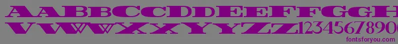 FatestWide-Schriftart – Violette Schriften auf grauem Hintergrund