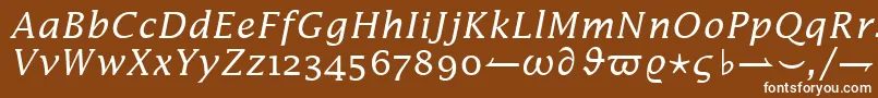 Czcionka InsightMathExtensionSsiAlternateExtension – białe czcionki na brązowym tle