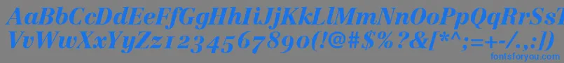 LinotypeCentennial96BlackItalicOldstyleFigures Font – Blue Fonts on Gray Background