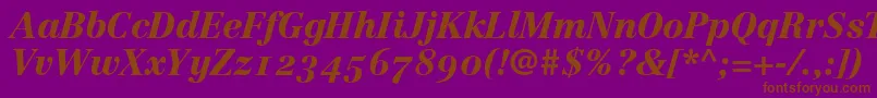 LinotypeCentennial96BlackItalicOldstyleFigures Font – Brown Fonts on Purple Background