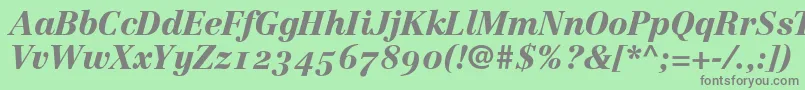 LinotypeCentennial96BlackItalicOldstyleFigures Font – Gray Fonts on Green Background