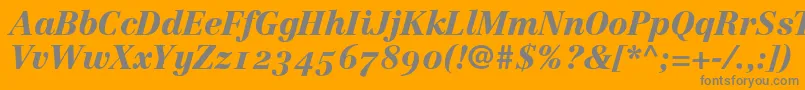 LinotypeCentennial96BlackItalicOldstyleFigures Font – Gray Fonts on Orange Background