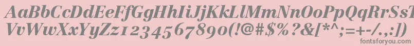 LinotypeCentennial96BlackItalicOldstyleFigures Font – Gray Fonts on Pink Background
