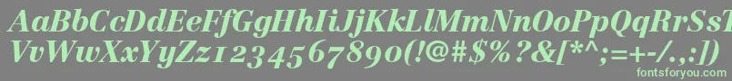 Czcionka LinotypeCentennial96BlackItalicOldstyleFigures – zielone czcionki na szarym tle