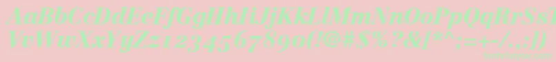 LinotypeCentennial96BlackItalicOldstyleFigures Font – Green Fonts on Pink Background
