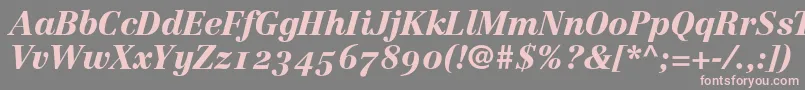 LinotypeCentennial96BlackItalicOldstyleFigures Font – Pink Fonts on Gray Background