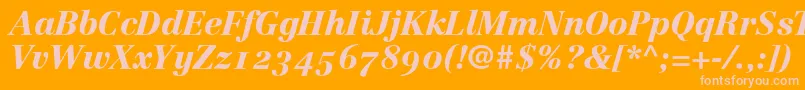 LinotypeCentennial96BlackItalicOldstyleFigures Font – Pink Fonts on Orange Background